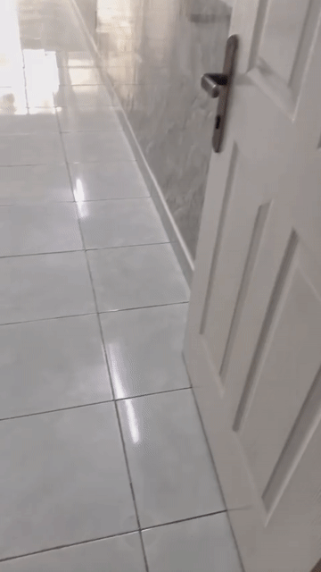 Mua bán Căn hộ Chung cư Lê Thành Tân Tạo Quận Bình Tân Tp Hồ Chí Minh diện tích 35 m² giá 760 triệu