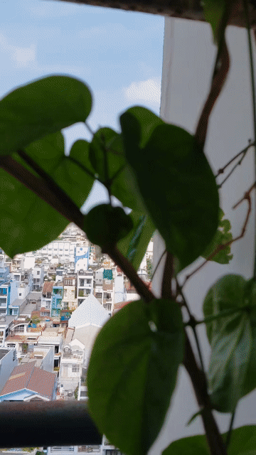 Mua bán Căn hộ Chung cư Căn hộ Khang Gia Quận 8 Tp Hồ Chí Minh diện tích 60 m² giá 1,9 tỷ