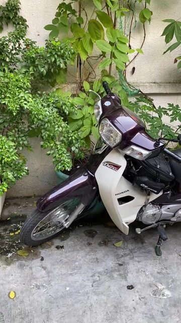 Lên cc cần bán xe do ko sử dụng. Mua bán Xe máy tại Quận 3 Tp Hồ Chí Minh được đăng bởi Nguyentuanloi1983 hình 1