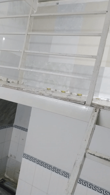 Cho thuê Phòng trọ Quận 12 Tp Hồ Chí Minh diện tích 12 m² giá 1,2 triệu/tháng