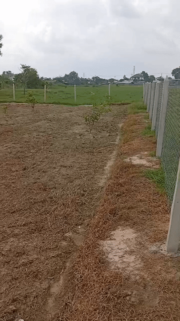 Mua bán Đất Huyện Củ Chi Tp Hồ Chí Minh diện tích 918 m² giá 2,8 tỷ