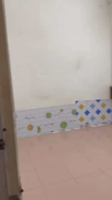Cho thuê Phòng trọ Quận Gò Vấp Tp Hồ Chí Minh diện tích 12 m² giá 1,6 triệu/tháng