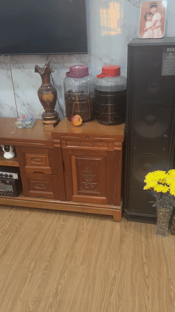 Loa karraoke hát gia đinh. Mua bán Tivi, Âm thanh tại Thành phố Thuận An Bình Dương được đăng bởi Đặng Hải hình 1