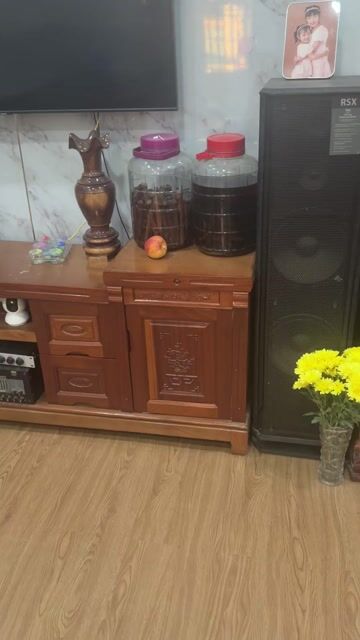 Loa karraoke hát gia đinh. Mua bán Tivi, Âm thanh tại Thành phố Thuận An Bình Dương được đăng bởi Đặng Hải hình 1