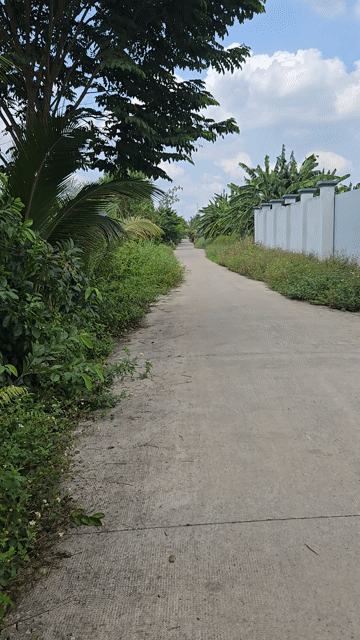 Mua bán Đất Huyện Bình Chánh Tp Hồ Chí Minh diện tích 350 m² giá 5,9 tỷ