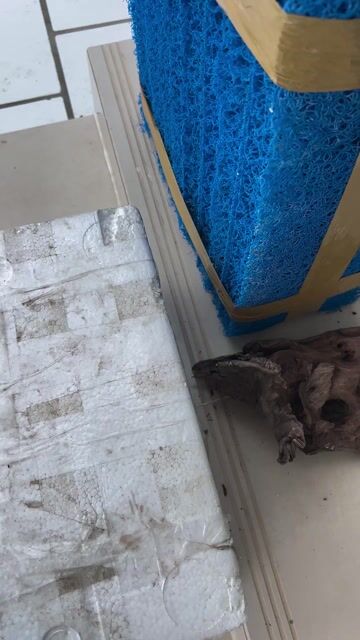 Vật liệu trang trí Đá Gỗ. Mua bán Cây cảnh, đồ trang trí tại Thành phố Sóc Trăng Sóc Trăng được đăng bởi nguyen thanh vi hình 1