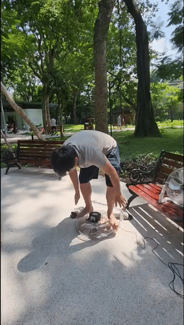 Quạt năng lượng mặt trời 25W. Mua bán Quạt tại Quận Hoàng Mai Hà Nội được đăng bởi Tuyen Nguyen hình 1