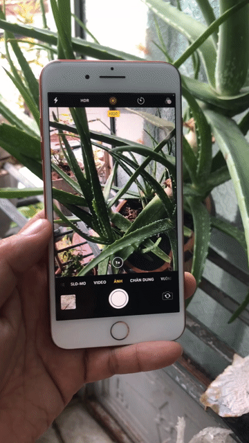 Apple iPhone7 7 Plus 128GB,Nguyên Zin,Full vân tay. Mua bán Điện thoại tại Quận 12 Tp Hồ Chí Minh được đăng bởi Văn Thành hình 1