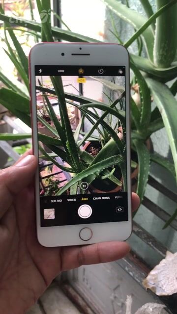 Apple iPhone7 7 Plus 128GB,Nguyên Zin,Full vân tay. Mua bán Điện thoại tại Quận 12 Tp Hồ Chí Minh được đăng bởi Văn Thành hình 1