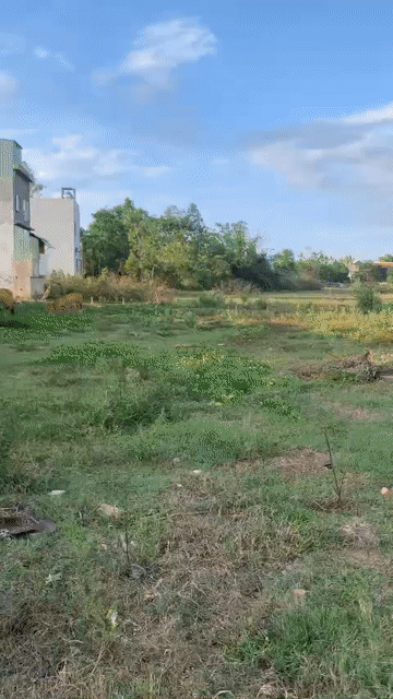 Mua bán Đất Thị xã Điện Bàn Quảng Nam diện tích 960 m² giá 9 tỷ