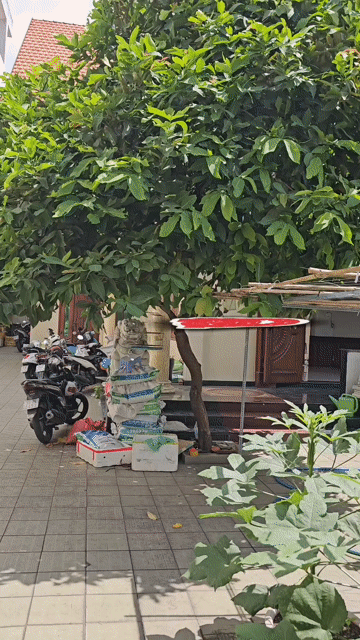 Mua bán Nhà ở Quận Tân Phú Tp Hồ Chí Minh diện tích 543 m² giá 53 tỷ