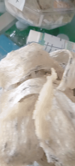 Tổ yến thô Nhà yến trên 10 năm. Mua bán Đồ ăn, thực phẩm và các loại khác tại Huyện Thạnh Hóa Long An được đăng bởi Dương thị cẩm mộng hình 1