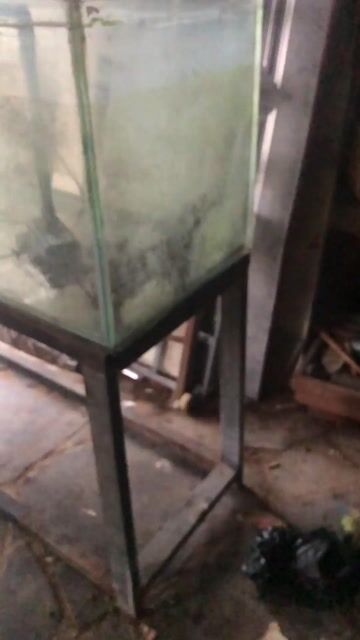 Hồ cá Kính Kim loại 1m55 x 50cm x 40cm. Mua bán Thú cưng khác tại Huyện Trảng Bom Đồng Nai được đăng bởi Đỗ Đăng Khôi hình 1