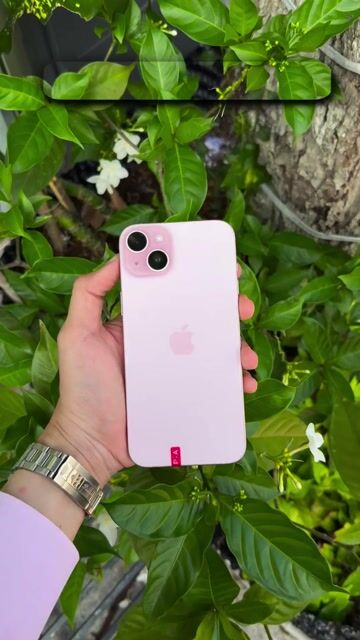 15 Plus hồng giá mềm. Có trả góp kể cả nợ xấu.. Mua bán Điện thoại tại Thành phố Mỹ Tho Tiền Giang được đăng bởi Hoàng Thành Apple hình 1