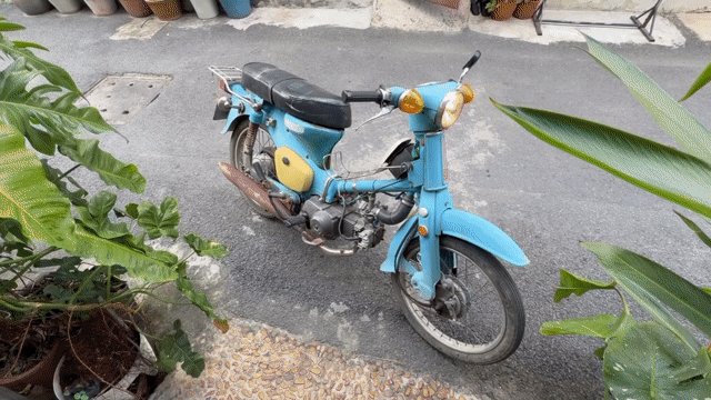 Honda Dame 78 49cc Xanh. Mua bán Xe máy tại Quận Gò Vấp Tp Hồ Chí Minh được đăng bởi phong hình 1