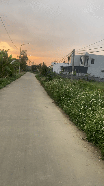 Mua bán Đất Huyện An Lão Hải Phòng diện tích 110 m² giá 1,2 tỷ