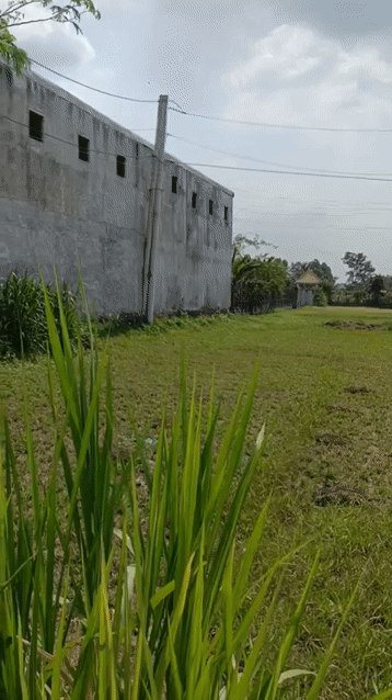 Mua bán Đất Huyện Đức Hòa Long An diện tích 2000 m² giá 13,5 tỷ