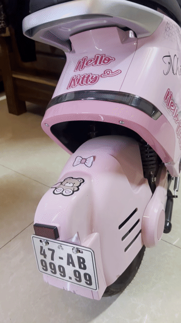 Xe máy điện DK Bike Hồng. Mua bán Xe máy tại Huyện Buôn Đôn Đắk Lắk được đăng bởi Vu Quang Vu hình 1