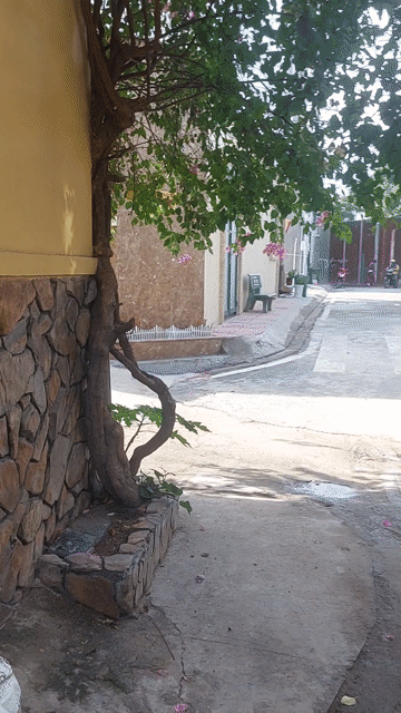 Cho thuê Phòng trọ Quận Bình Tân Tp Hồ Chí Minh diện tích 36 m² giá 3,5 triệu/tháng
