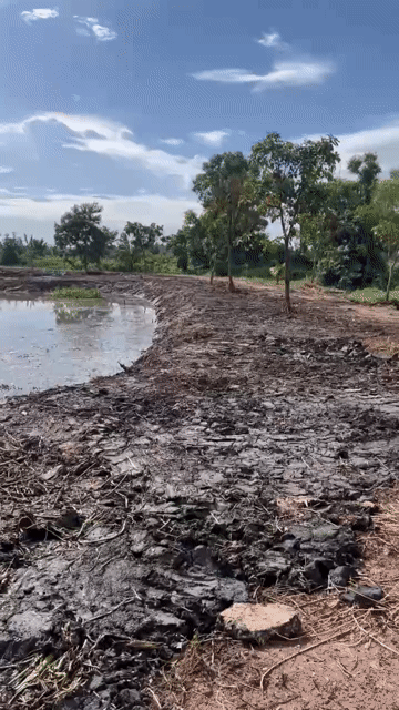 Cho thuê Đất Huyện Hóc Môn Tp Hồ Chí Minh diện tích 5300 m² giá 10 triệu/tháng