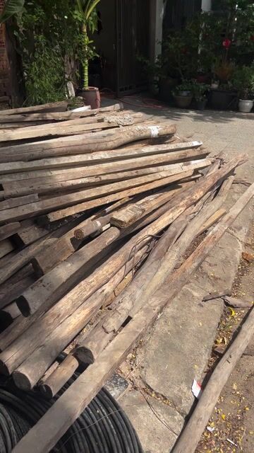 Thanh Lý Gỗ bạch đằng chống cốp pha. Mua bán Nội thất, đồ gia dụng khác tại Quận Cẩm Lệ Đà Nẵng được đăng bởi Nguyễn Tiến Mạnh hình 1