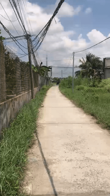 Mua bán Đất Huyện Tân Trụ Long An diện tích 259 m² giá 3,5 tỷ