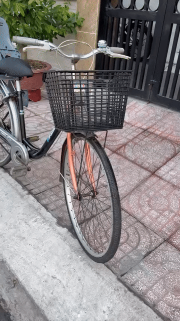 Xe đạp Asama Thép 26 inch ghế trẻ em. Mua bán Xe đạp tại Thành phố Thủ Đức Tp Hồ Chí Minh được đăng bởi Nguyễn Phi Giao hình 1