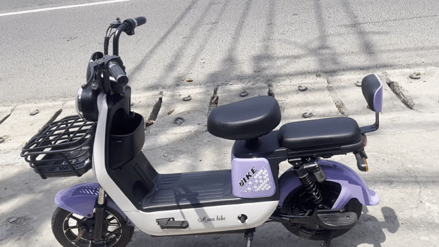 Xe đạp điện. Mua bán Xe đạp tại Thị xã Phú Mỹ Bà Rịa - Vũng Tàu được đăng bởi Le Hoa hình 1
