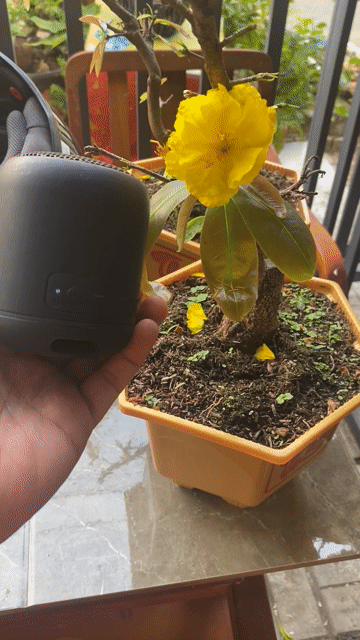 Loa không dây Sony SRS-XB12. Mua bán Tivi, Âm thanh tại Quận Thốt Nốt Cần Thơ được đăng bởi khuong hình 1