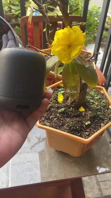 Loa không dây Sony SRS-XB12. Mua bán Tivi, Âm thanh tại Quận Thốt Nốt Cần Thơ được đăng bởi khuong hình 1