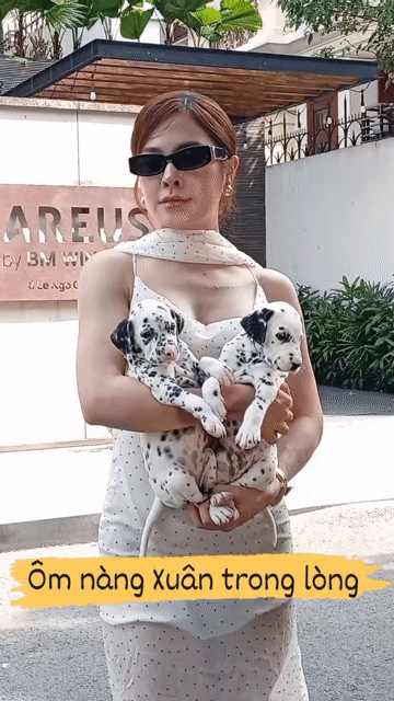 1Đực- 1Cái chó Đốm đang làm mẫu ảnh quảng cáo. Mua bán Chó tại Huyện Củ Chi Tp Hồ Chí Minh được đăng bởi Nguyễn Huy hình 1