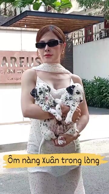 1Đực- 1Cái chó Đốm đang làm mẫu ảnh quảng cáo. Mua bán Chó tại Huyện Củ Chi Tp Hồ Chí Minh được đăng bởi Nguyễn Huy hình 1