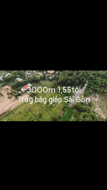 Mua bán Đất Huyện Trảng Bàng Tây Ninh diện tích 3000 m² giá 1,55 tỷ