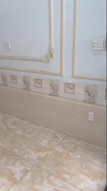 Cho thuê Nhà ở Quận Tân Phú Tp Hồ Chí Minh diện tích 80 m² giá 20 triệu/tháng