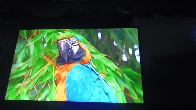 Tivi Samsung UA40H6400AK Full HD. Mua bán Tivi, Âm thanh tại Thành phố Thủ Đức Tp Hồ Chí Minh được đăng bởi Nguyễn Thành Khẩn hình 1