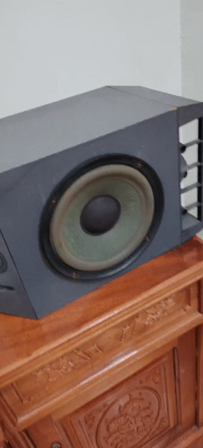 Loa Bose 301 Series 4 Xám. Mua bán Tivi, Âm thanh tại Quận Hoàng Mai Hà Nội được đăng bởi Phạm Duy chinh hình 1