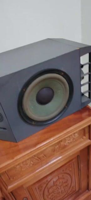 Loa Bose 301 Series 4 Xám. Mua bán Tivi, Âm thanh tại Quận Hoàng Mai Hà Nội được đăng bởi Phạm Duy chinh hình 1