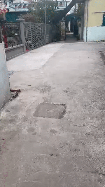 Mua bán Đất Thành phố Thái Bình Thái Bình diện tích 48.4 m² giá 1,61 tỷ