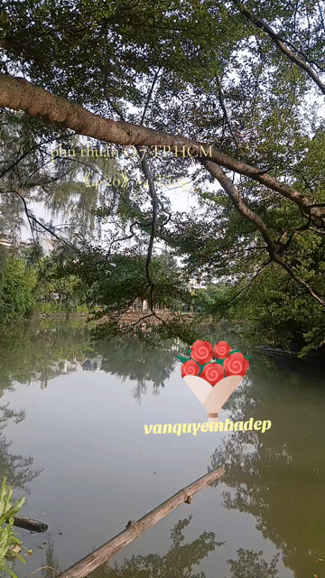 Mua bán Nhà ở Quận 7 Tp Hồ Chí Minh diện tích 80 m² giá 12 tỷ