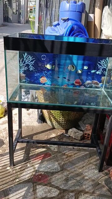 Bể cá 80x40x45 cm 8li luôn chân sắt hàng đặt. Mua bán Phụ kiện, Thức ăn, Dịch vụ tại Thị xã Phú Mỹ Bà Rịa - Vũng Tàu được đăng bởi Hồ lướt thanh lý  hình 1