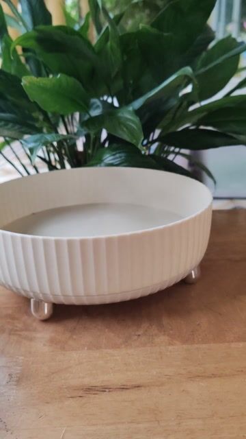 Khay đựng nhựa đế xoay 22cm Mới. Mua bán Dụng cụ nhà bếp tại Quận 7 Tp Hồ Chí Minh được đăng bởi Vy Vy hình 1