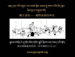 ཆ་ཤས་ ༡༡པ།  ཡེ་ཤུ་ལ་སྲོག་ཁྲིམས་བཅད་པ།