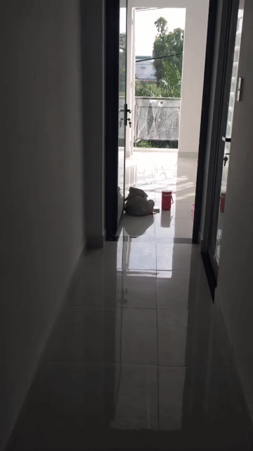 Cho thuê Phòng trọ Thành phố Dĩ An Bình Dương diện tích 15 m² giá 2,6 triệu/tháng