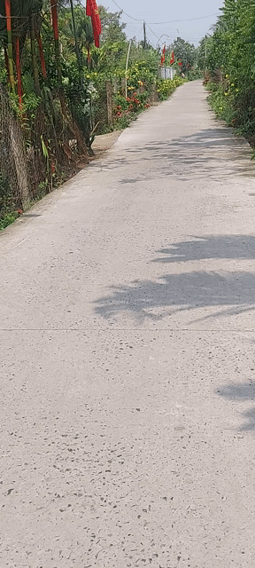Mua bán Đất Huyện Cai Lậy Tiền Giang diện tích 478 m² giá 2,85 tỷ