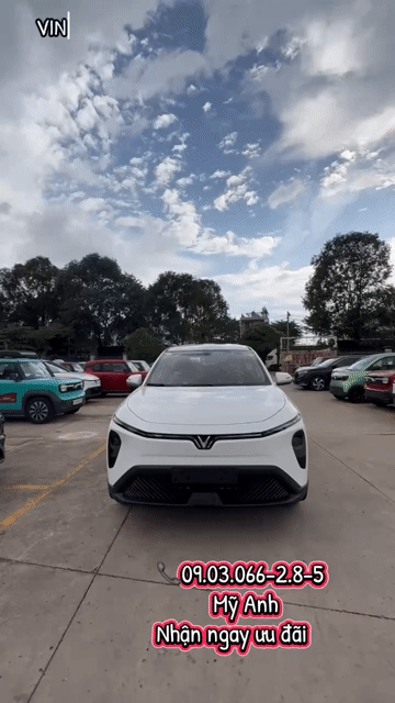 VinFast Limo Green Mới 100% ƯU ĐÃI TIỀN MẶT+PK+TTB. Mua bán Ô tô tại Quận 12 Tp Hồ Chí Minh được đăng bởi  Bán Xe điện VINFAST MỚI VÀ LƯỚT chính hãng hình 1
