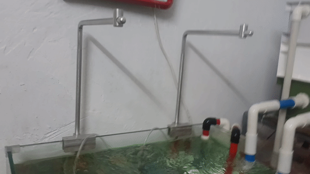 Chân đèn hồ cá Week Aqua Nhôm Bạc. Mua bán Phụ kiện, Thức ăn, Dịch vụ tại Quận 5 Tp Hồ Chí Minh được đăng bởi Hoang phong hình 1