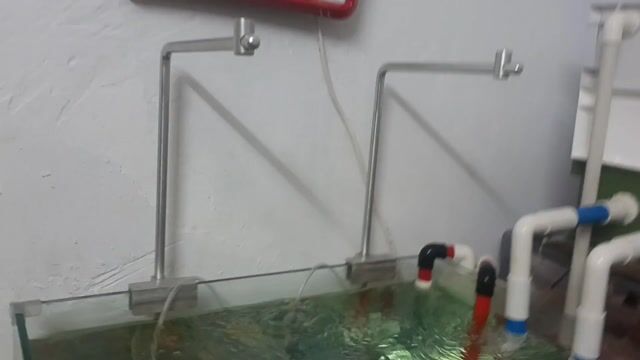 Chân đèn hồ cá Week Aqua Nhôm Bạc. Mua bán Phụ kiện, Thức ăn, Dịch vụ tại Quận 5 Tp Hồ Chí Minh được đăng bởi Hoang phong hình 1