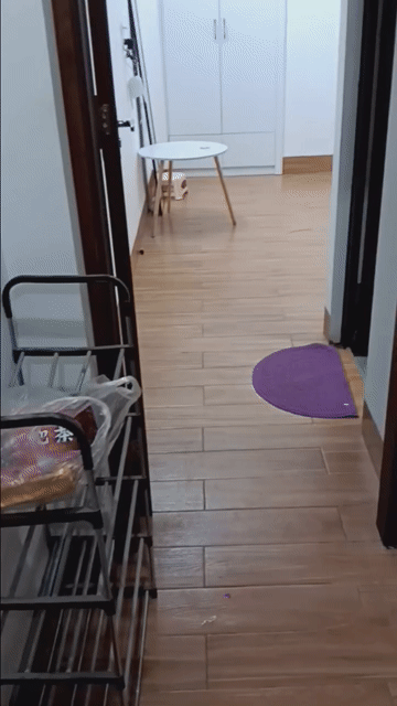 Cho thuê Phòng trọ Quận Cầu Giấy Hà Nội diện tích 35 m² giá 4,1 triệu/tháng