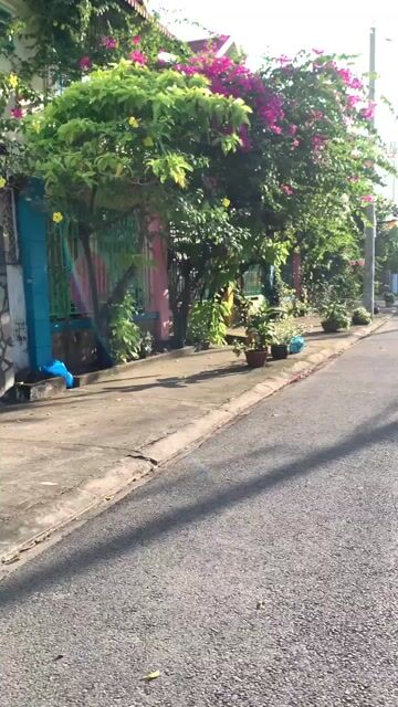 Honda Dream thái 1997 zin nguyên chiếc mới 90%. Mua bán Xe máy tại Thành phố Thủ Đức Tp Hồ Chí Minh được đăng bởi Nguyễn Thanh Bình hình 1