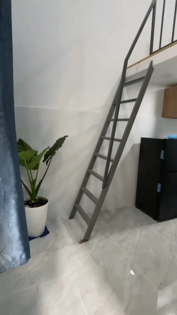 Cho thuê Căn hộ Chung cư Huyện Nhà Bè Tp Hồ Chí Minh diện tích 25 m² giá 4,3 triệu/tháng
